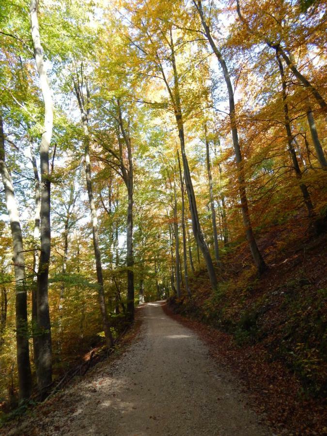 Free Apartment - Bei Den Thermen Bad Urach Exteriör bild