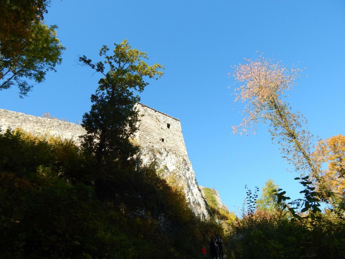 Free Apartment - Bei Den Thermen Bad Urach Exteriör bild