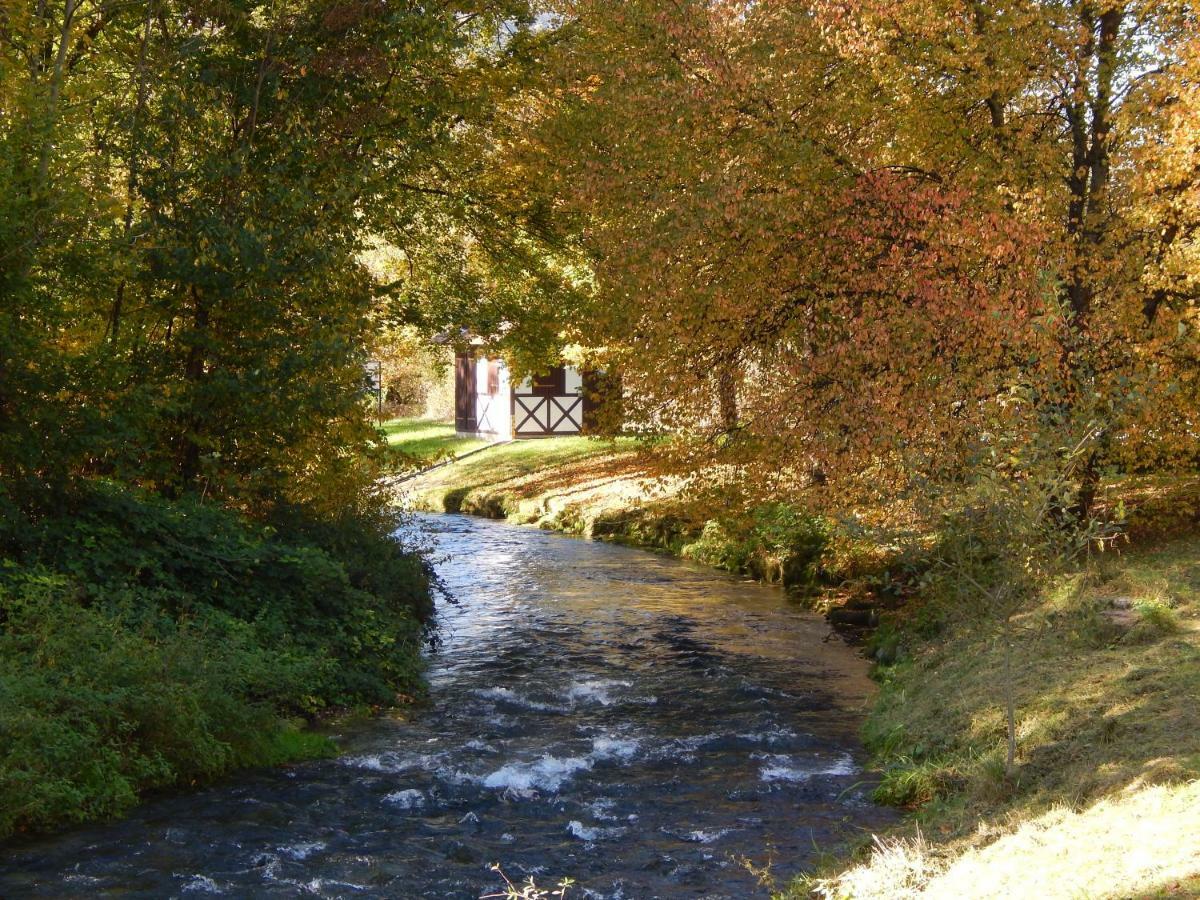 Free Apartment - Bei Den Thermen Bad Urach Exteriör bild