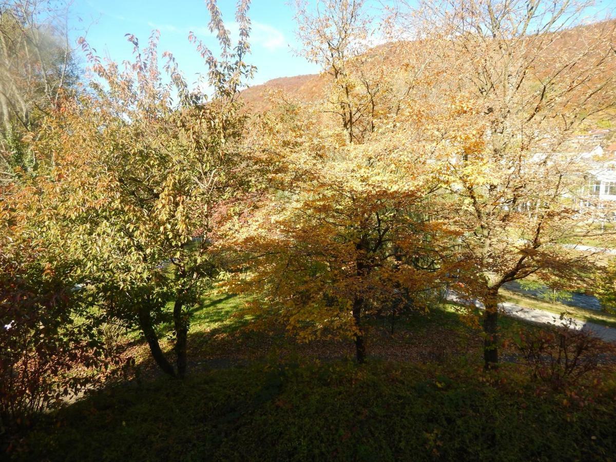 Free Apartment - Bei Den Thermen Bad Urach Exteriör bild